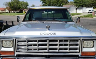 Dodge-Other-dodge-models-1984-Gray-Gray-4