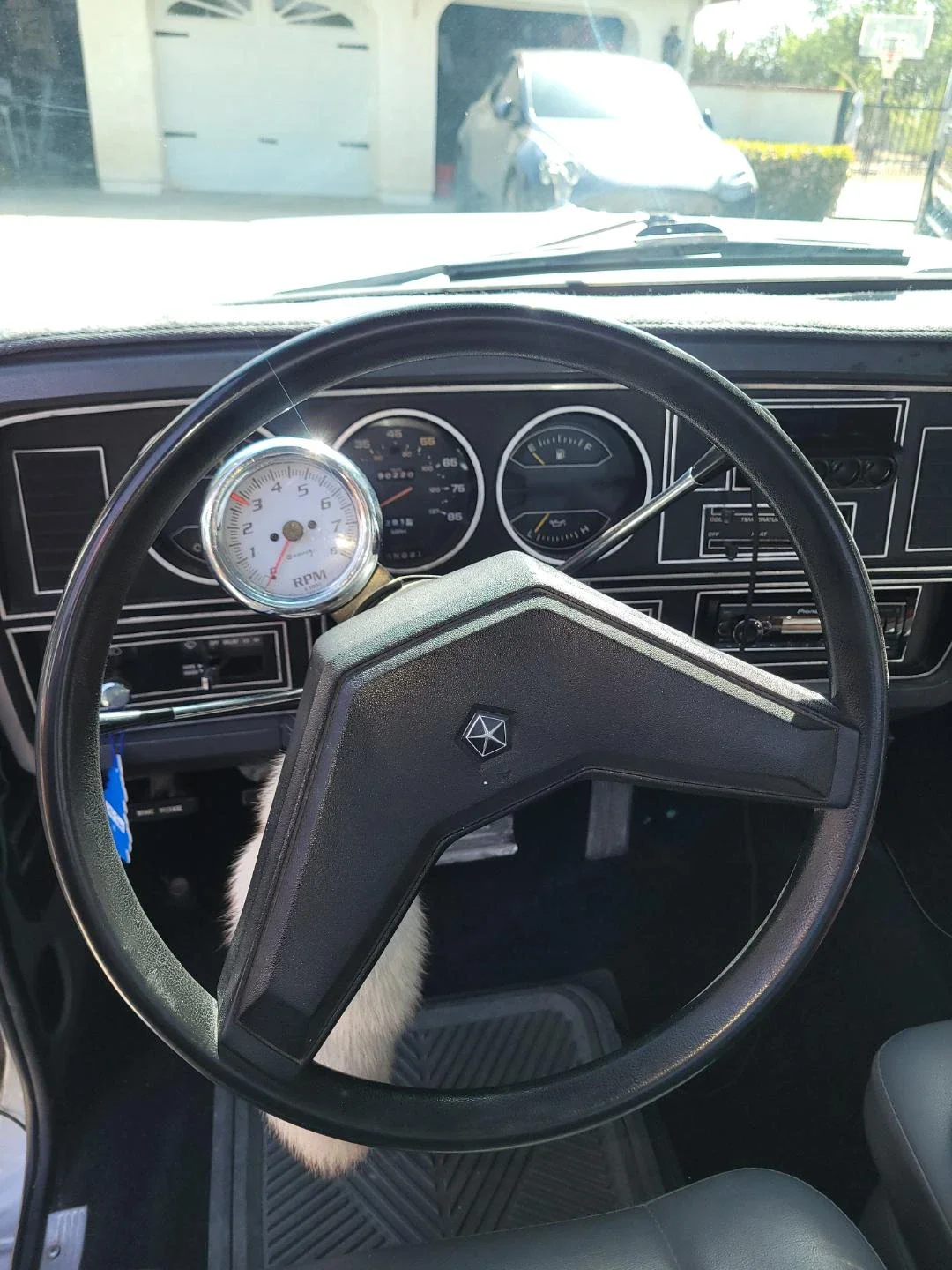 Dodge-Other-dodge-models-1984-Gray-Gray-7