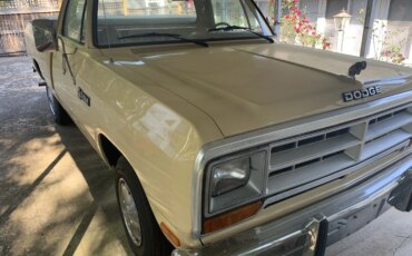 Dodge-Other-dodge-models-1986-Yellow-Yellow-1