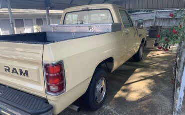 Dodge-Other-dodge-models-1986-Yellow-Yellow-10