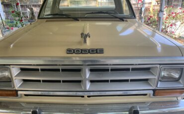 Dodge-Other-dodge-models-1986-Yellow-Yellow-5