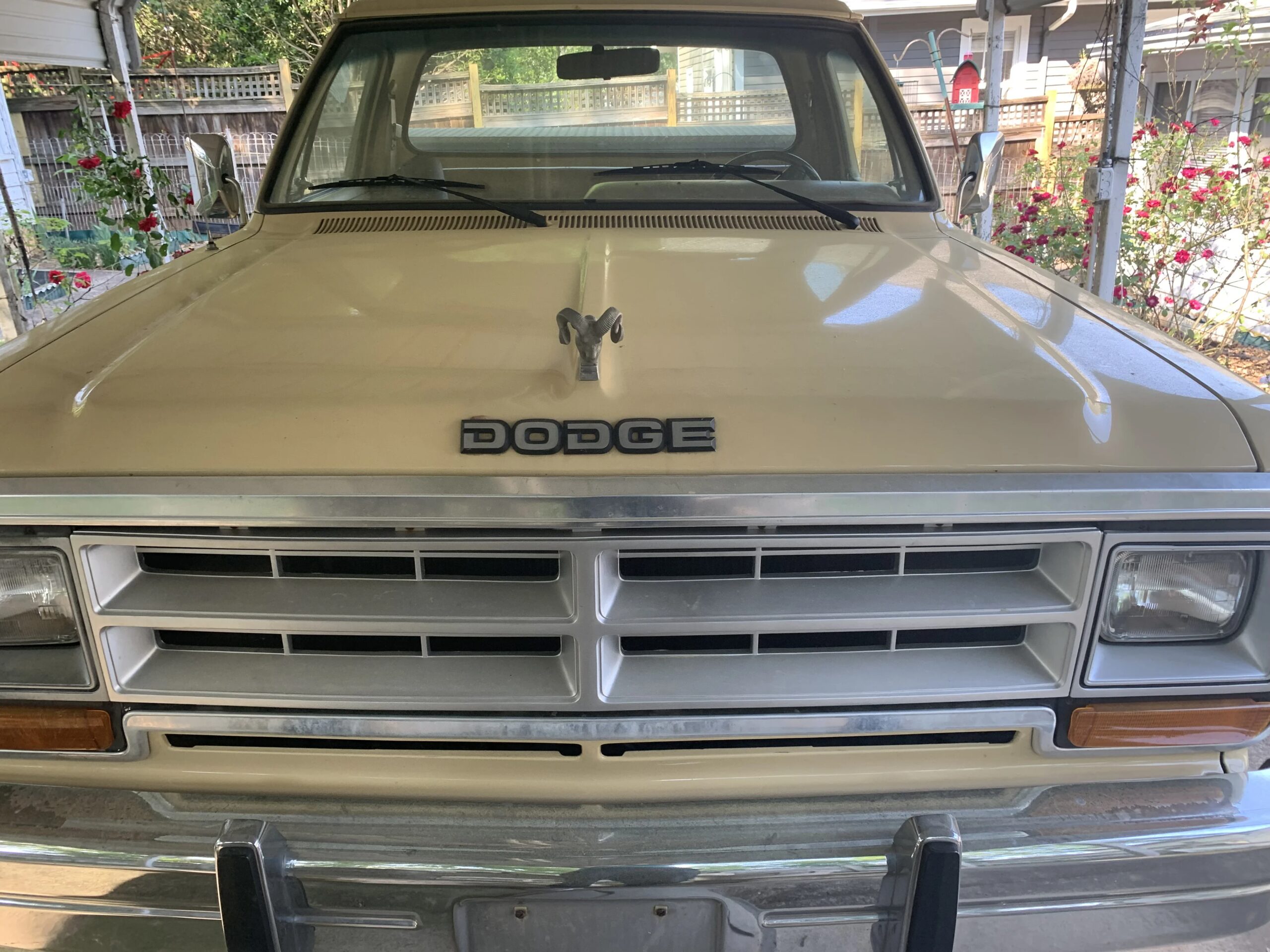Dodge-Other-dodge-models-1986-Yellow-Yellow-5