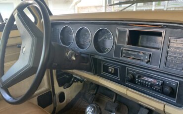 Dodge-Other-dodge-models-1986-Yellow-Yellow-8