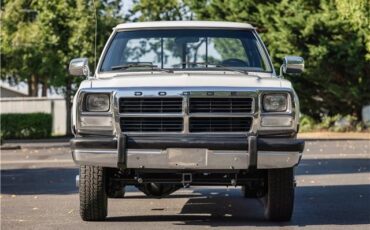 Dodge-Power-Ram-W250-1993-Standard-Cab-Pickup-14