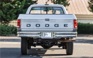 Dodge-Power-Ram-W250-1993-Standard-Cab-Pickup-8