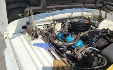 Dodge-Power-Wagon-1970-Standard-Cab-Pickup-24