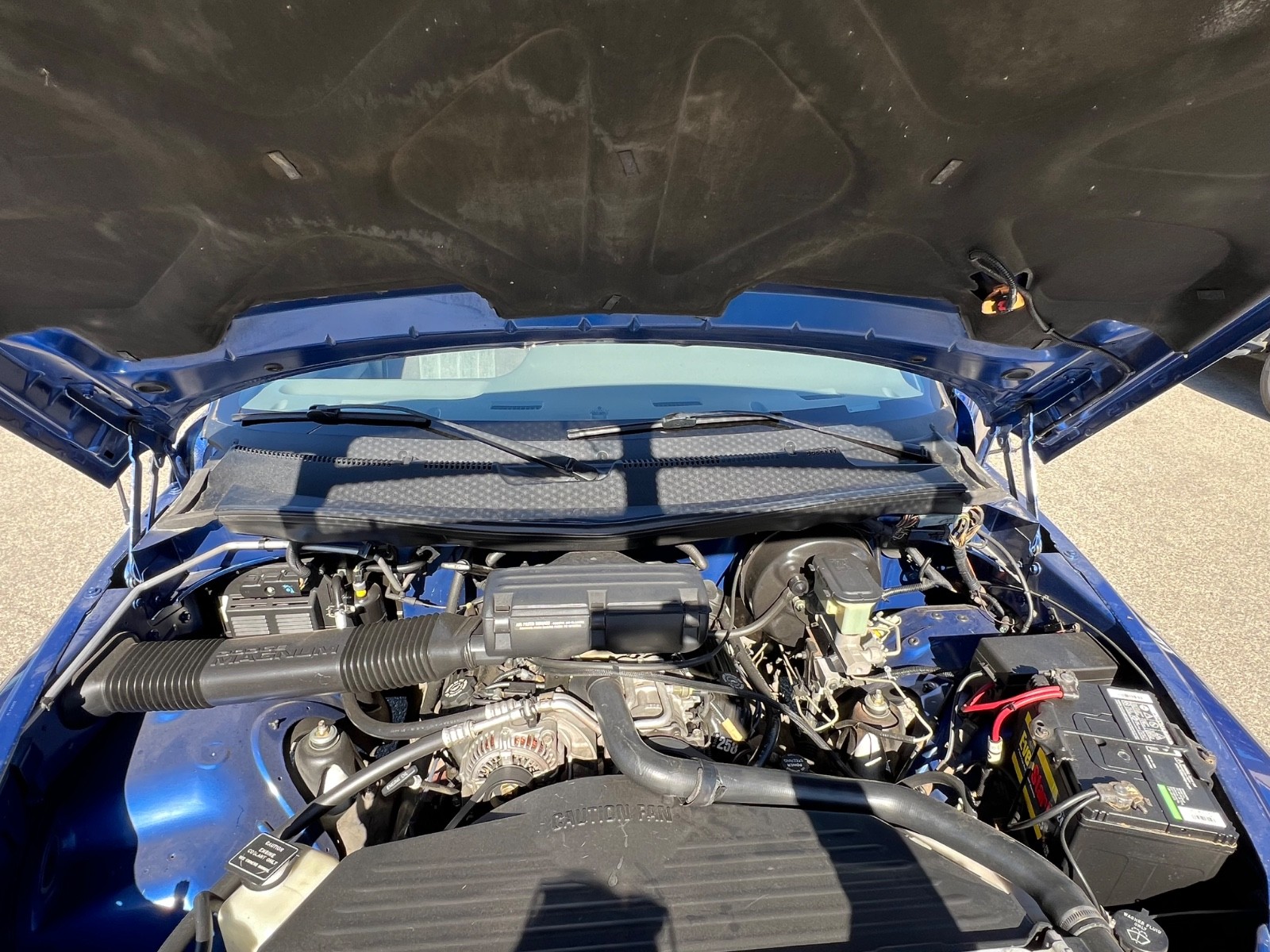 Dodge-Ram-1500-1994-Standard-Cab-Pickup-11
