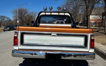 Dodge-Ram-1980-White-Gold-11