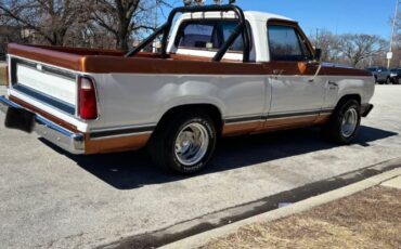 Dodge-Ram-1980-White-Gold-15
