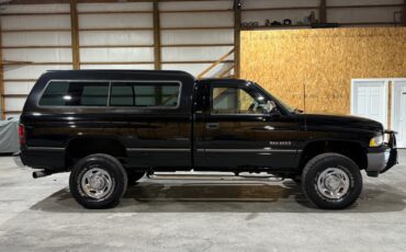 Dodge-Ram-2500-1994-Standard-Cab-Pickup-10