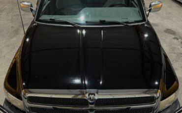 Dodge-Ram-2500-1994-Standard-Cab-Pickup-14