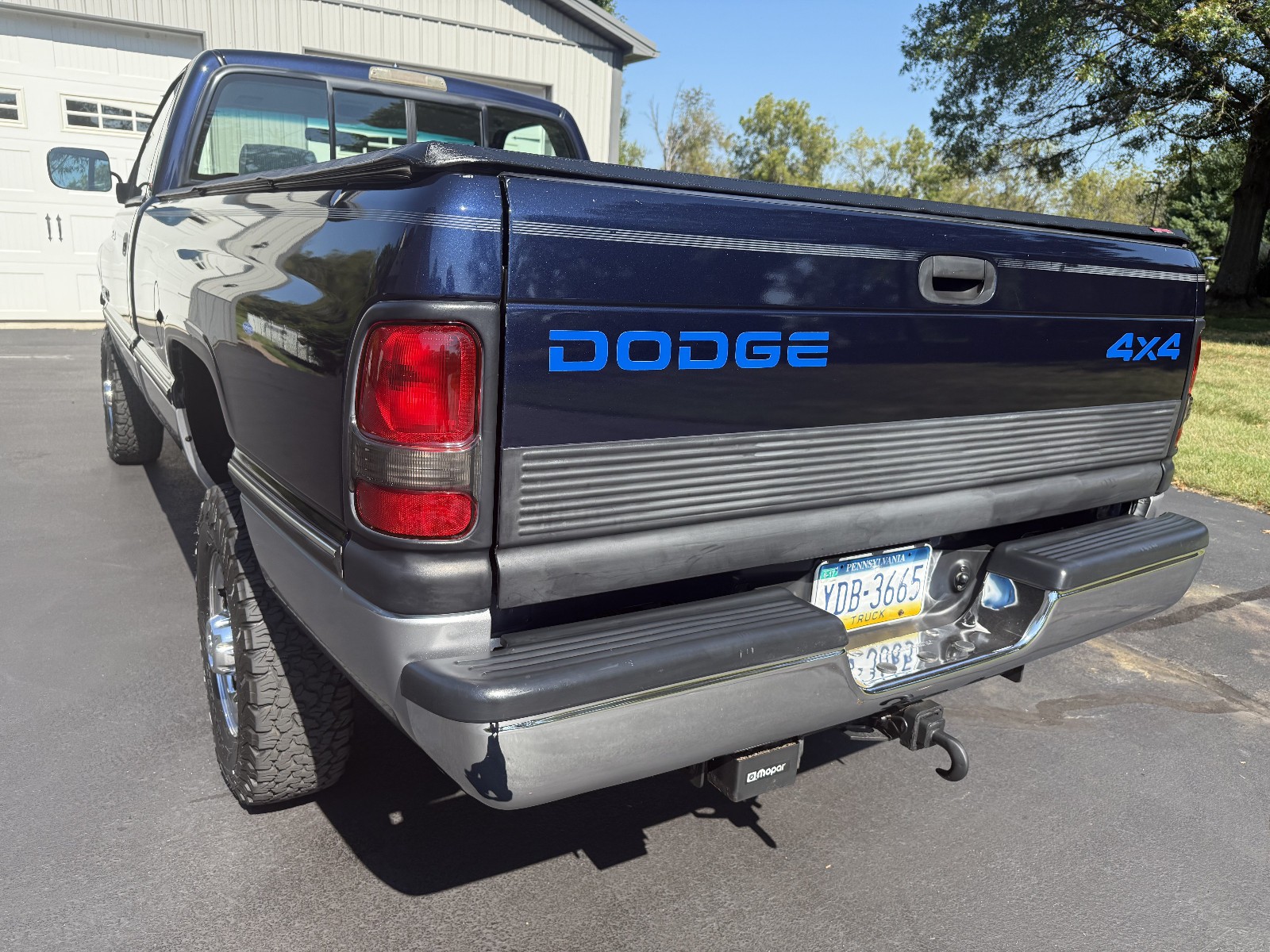 Dodge-Ram-2500-1995-Standard-Cab-Pickup-5
