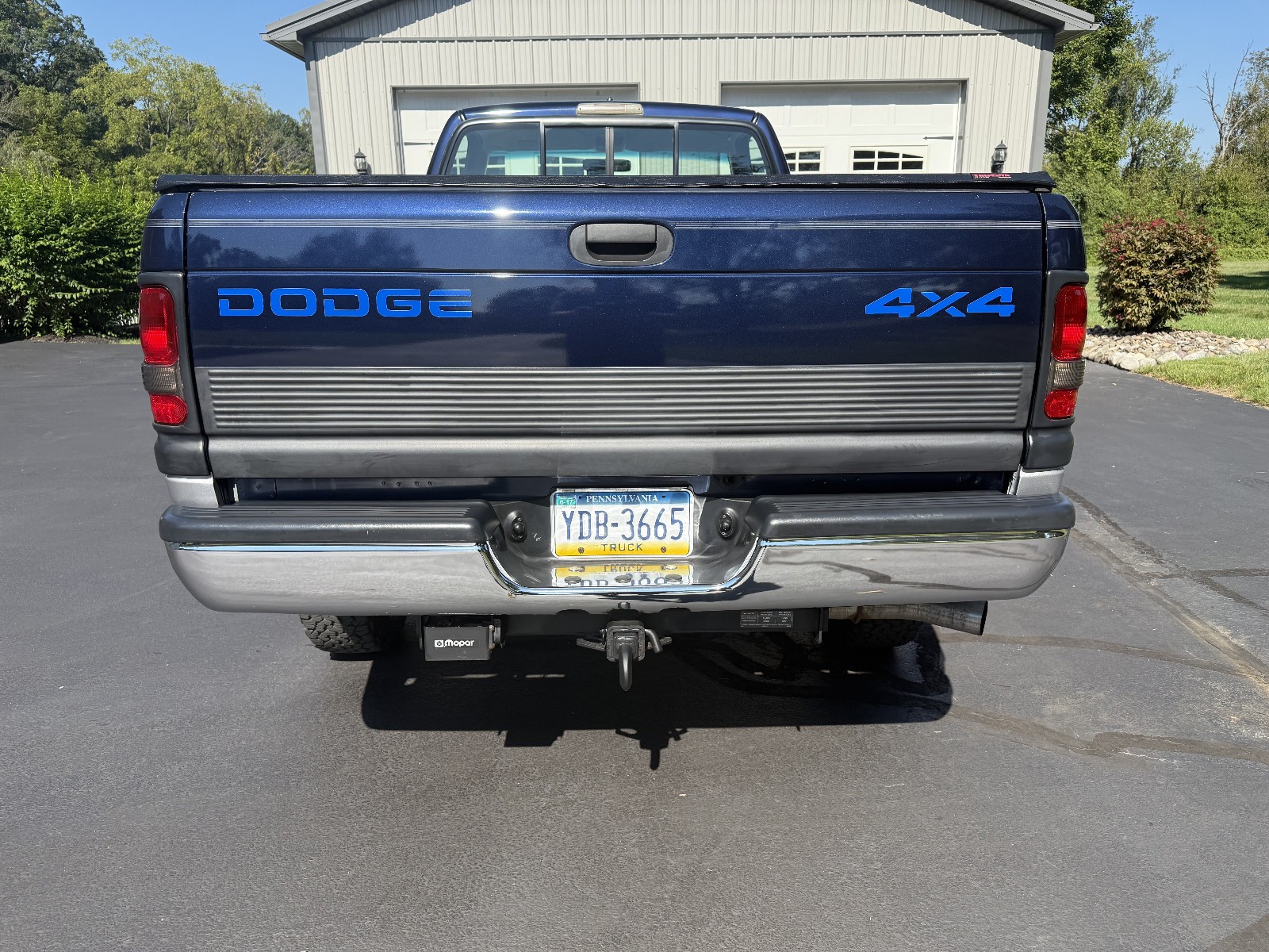 Dodge-Ram-2500-1995-Standard-Cab-Pickup-6
