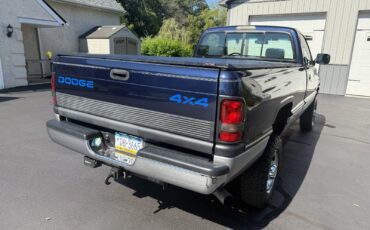 Dodge-Ram-2500-1995-Standard-Cab-Pickup-8