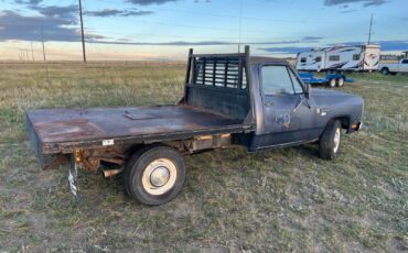 Dodge-Ram-D350-survivor-truck-1-ton-1984-truck-2