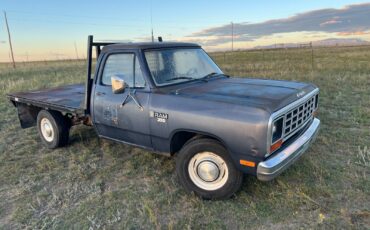 Dodge-Ram-D350-survivor-truck-1-ton-1984-truck