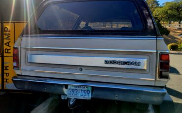 Dodge-Ramcharger-1983-SUV-3