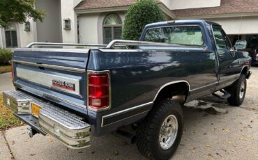 Dodge-W-Series-1989-1
