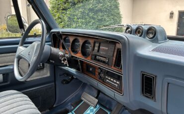 Dodge-W-Series-1989-6