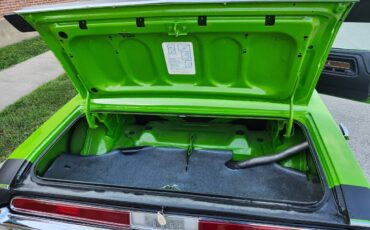 Dodge-challenger-1974-green-5