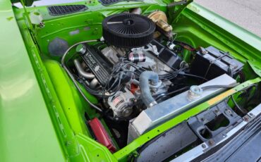 Dodge-challenger-1974-green-6