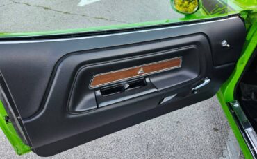Dodge-challenger-1974-green-7