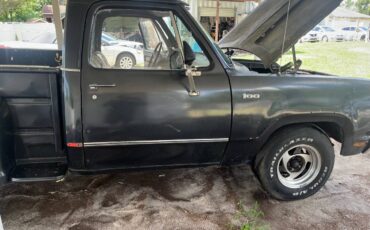 Dodge-d-100.-1972-grey-10