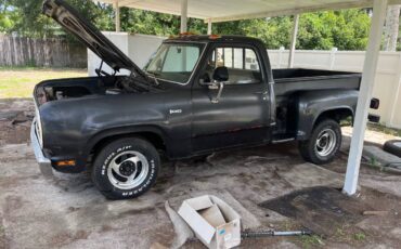 Dodge-d-100.-1972-grey-11