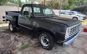 Dodge-d-100.-1972-grey-12