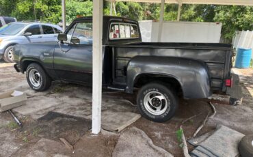 Dodge-d-100.-1972-grey