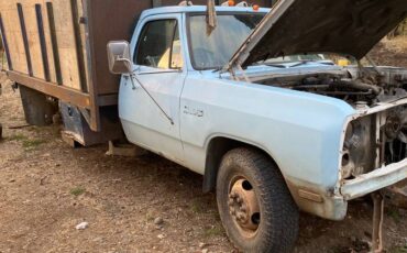 Dodge-d-350-diesel-1993-blue-4