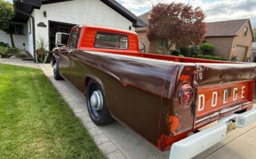 Dodge-d100-1964-brown-18