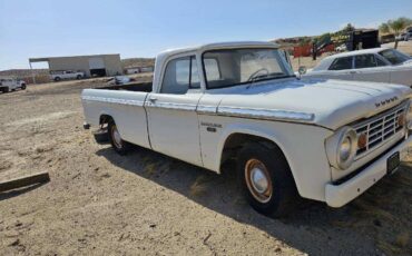 Dodge-d100-1966-white