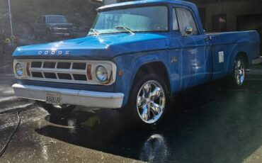 Dodge-d100-1969-blue-1
