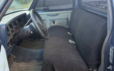 Dodge-d100-1986-grey-2