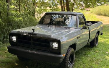 Dodge-d100-1986-grey