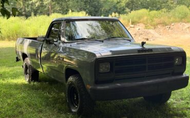 Dodge-d100-1986-grey-5