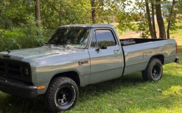 Dodge-d100-1986-grey-6