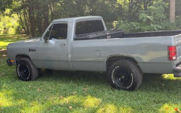 Dodge-d100-1986-grey-8