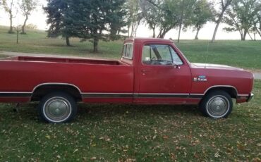 Dodge-d150-1981-1