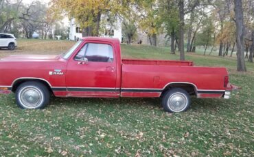 Dodge-d150-1981-2