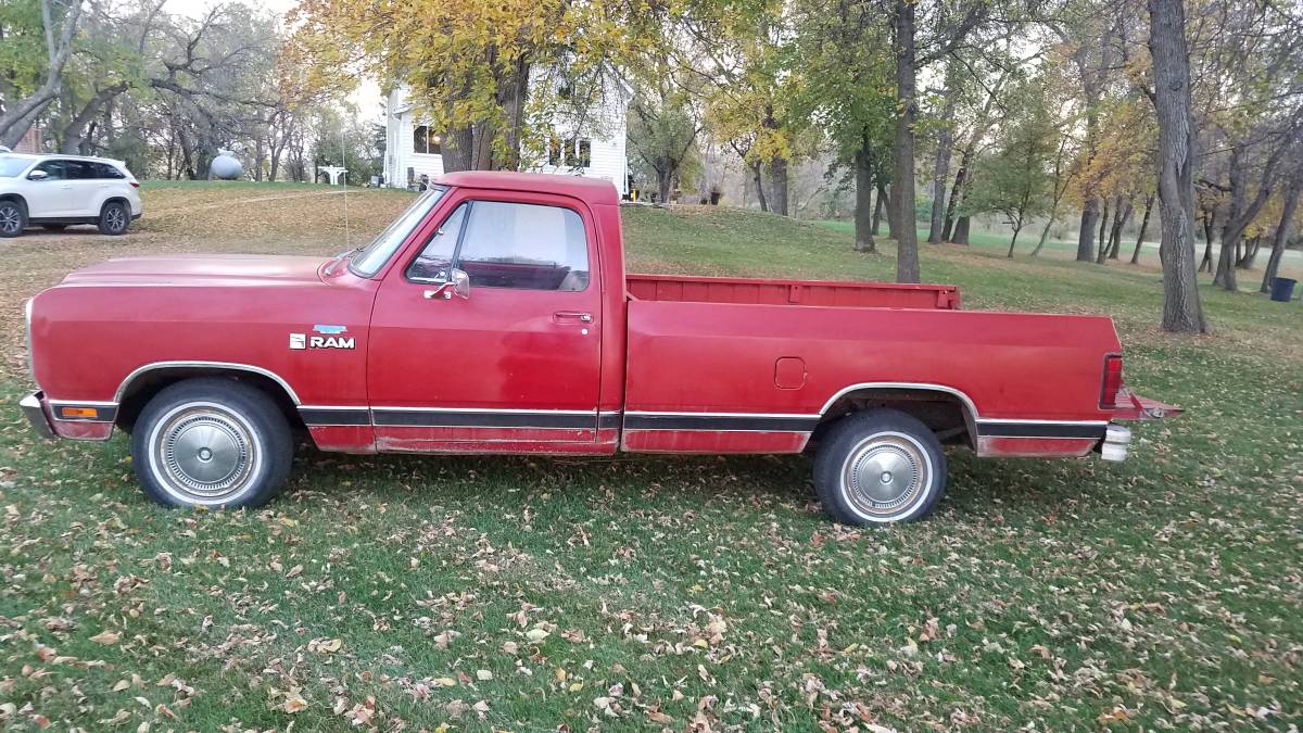Dodge-d150-1981-2