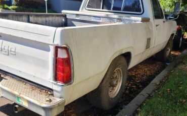 Dodge-d200-1972-grey-3