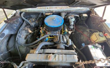 Dodge-d200-1972-grey-9