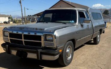 Dodge-d250-1992-grey-3
