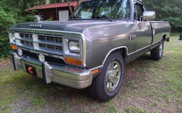 Dodge-d250-diesel-1990-grey-10