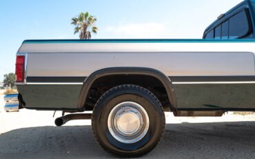 Dodge-d250-diesel-1993-5