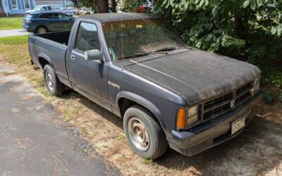 Dodge dakota 1989