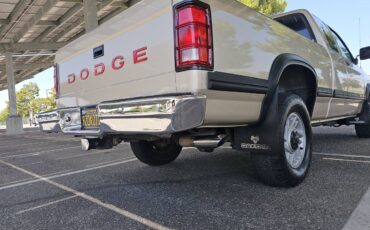 Dodge-dakota-1992-6
