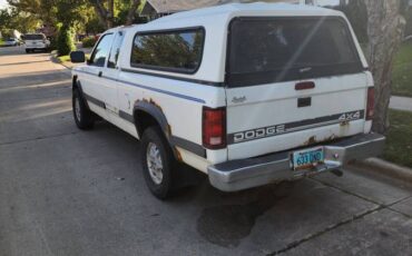 Dodge-dakota-1995-white-1